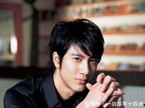 娱乐圈吃瓜男歌手名单,揭秘那些被隐藏的八卦故事